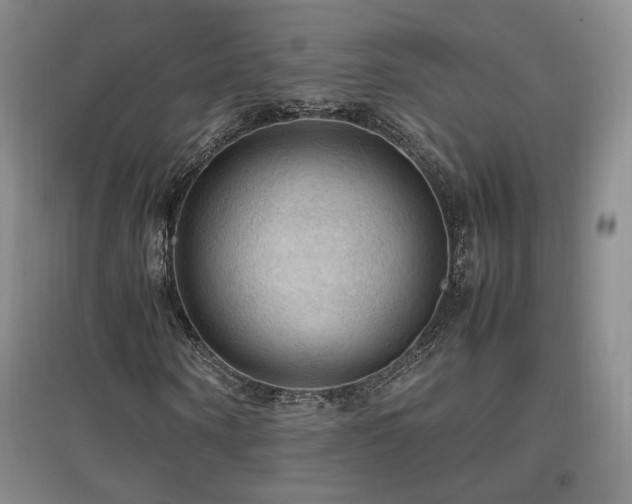X0000097460866200802221211