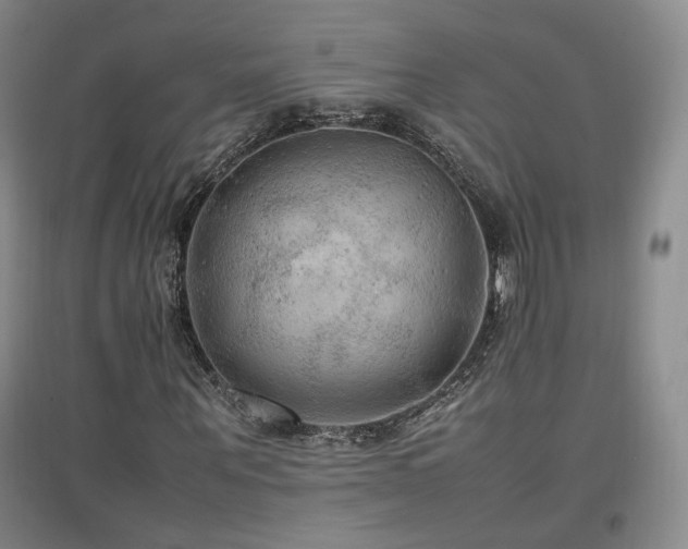 X0000097460867200802221211