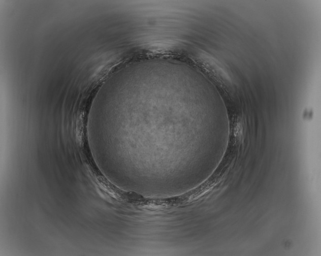 X0000097460868200802221211