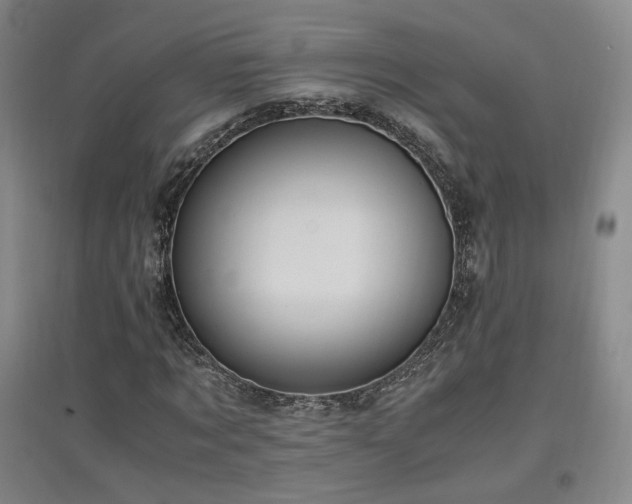 X0000097460869200802221211