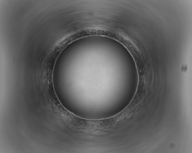 X0000097460870200802221211