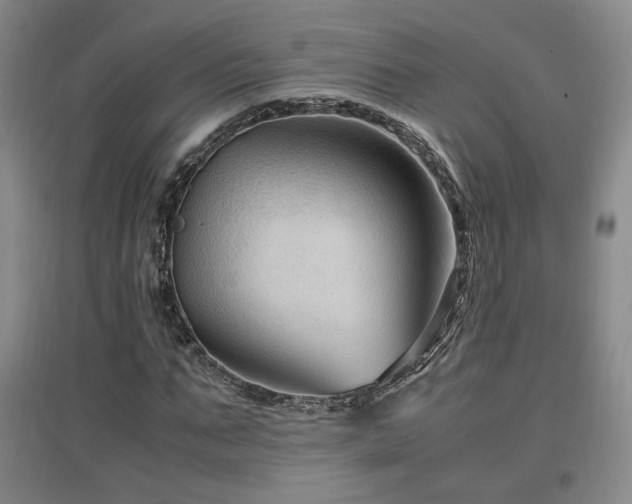 X0000097460871200802221211