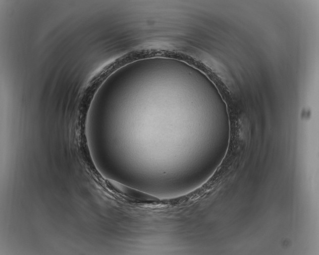 X0000097460872200802221211