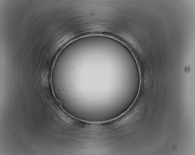 X0000097460873200802221211