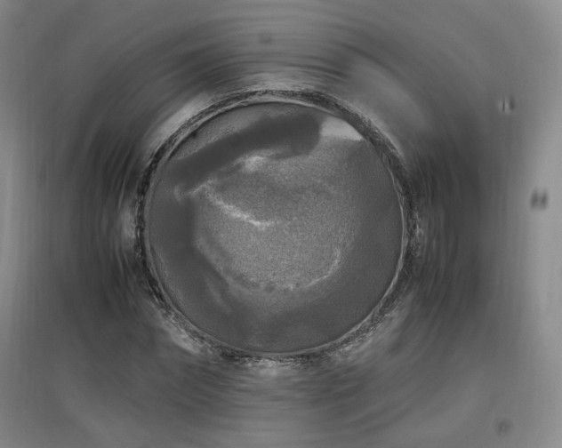 X0000097460874200802221211