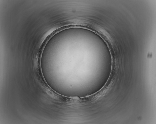 X0000097460875200802221211