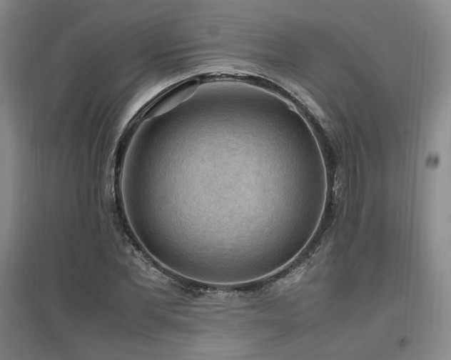 X0000097460877200802221211
