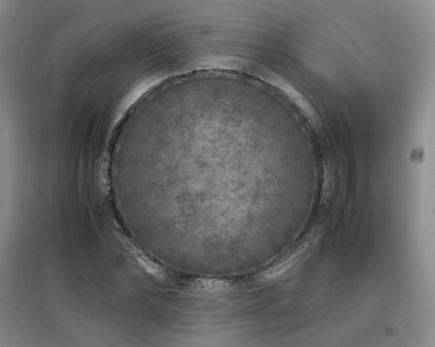 X0000097460878200802221211
