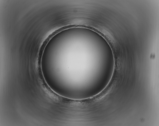 X0000097460880200802221211