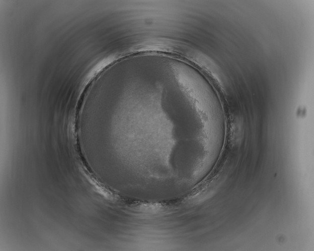 X0000097460882200802221211