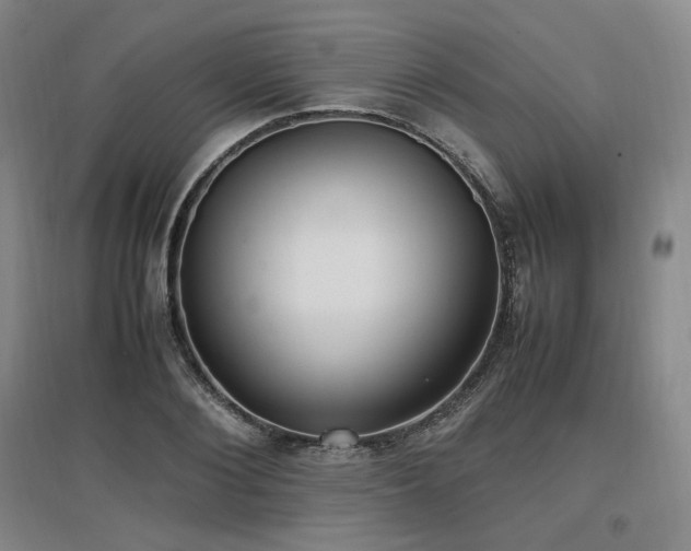 X0000097460884200802221211