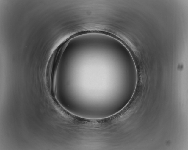 X0000097460885200802221211