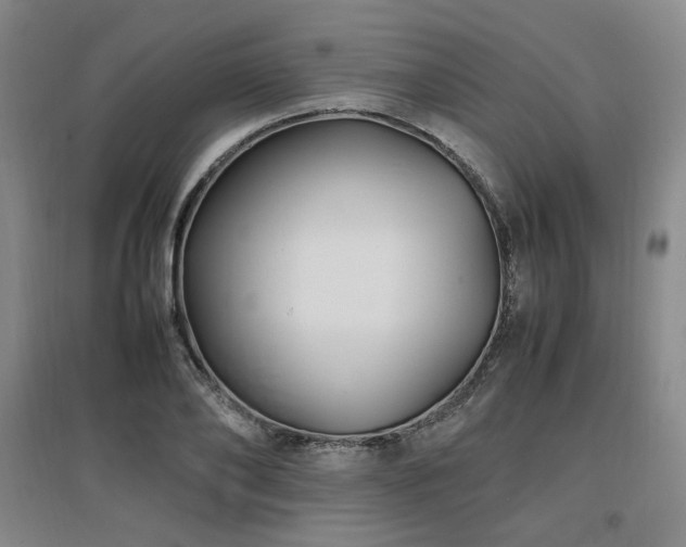X0000097460886200802221211