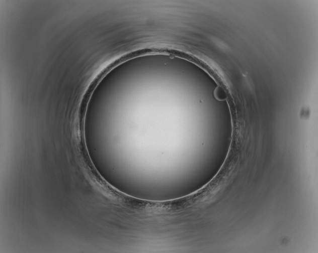 X0000097460887200802221211