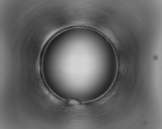 X0000097460888200802221211