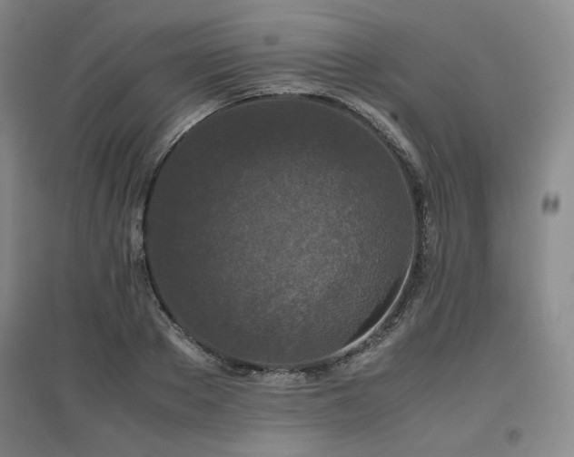 X0000097460889200802221211