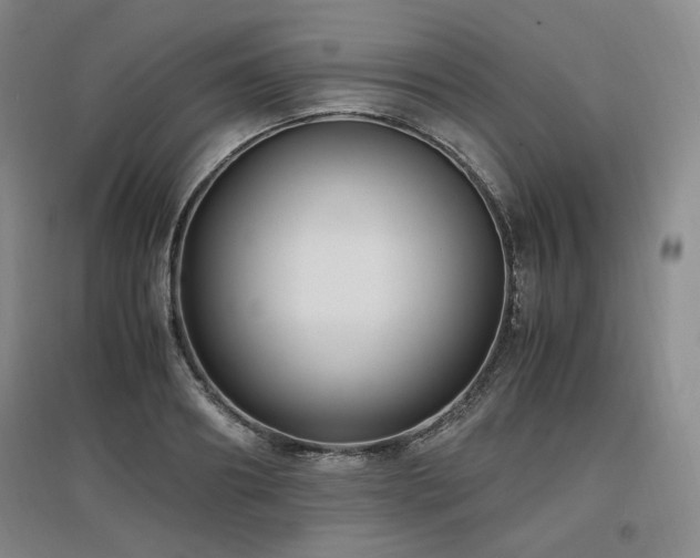 X0000097460890200802221211