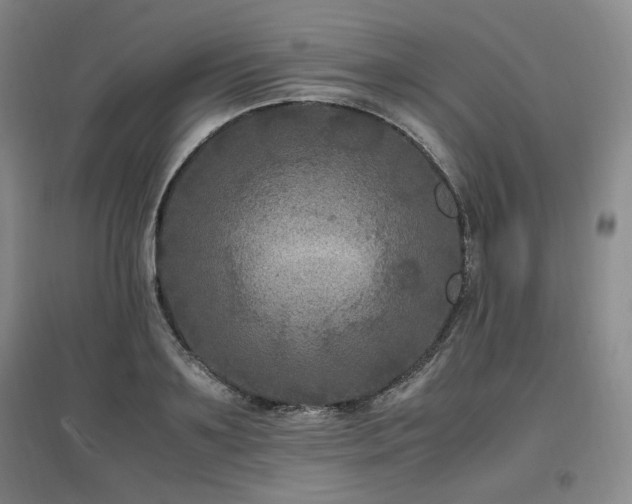 X0000097460891200802221211