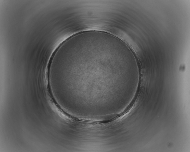 X0000097460892200802221211