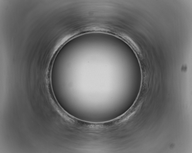 X0000097460893200802221211