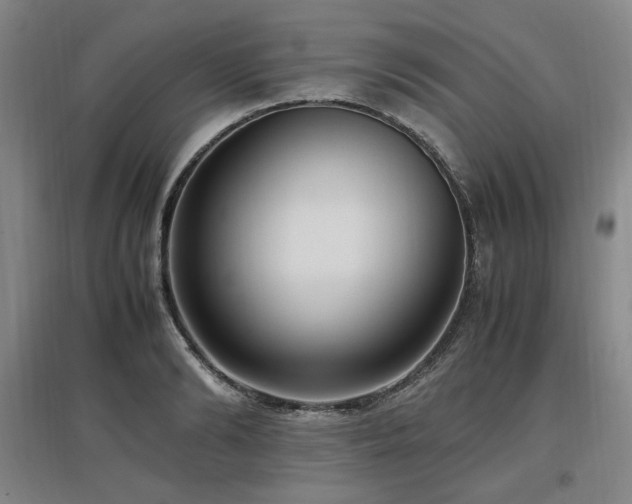 X0000097460894200802221211