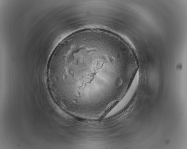 X0000097460895200802221211
