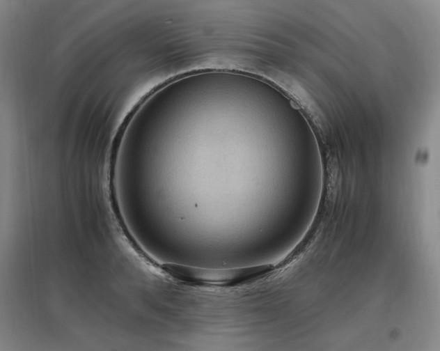 X0000097460896200802221211