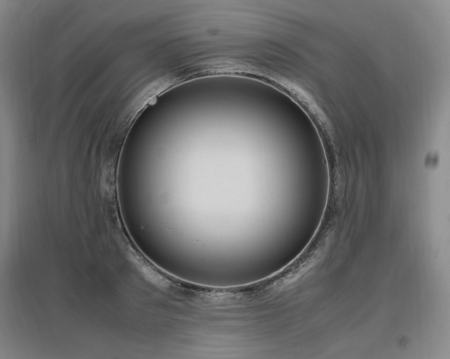 X0000097460897200802221211