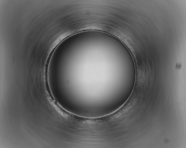 X0000097460898200802221211