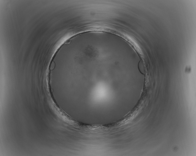 X0000097460899200802221211