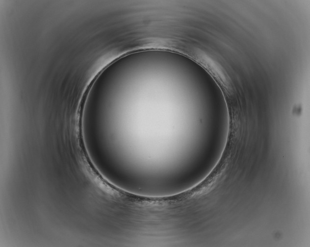 X0000097460900200802221211
