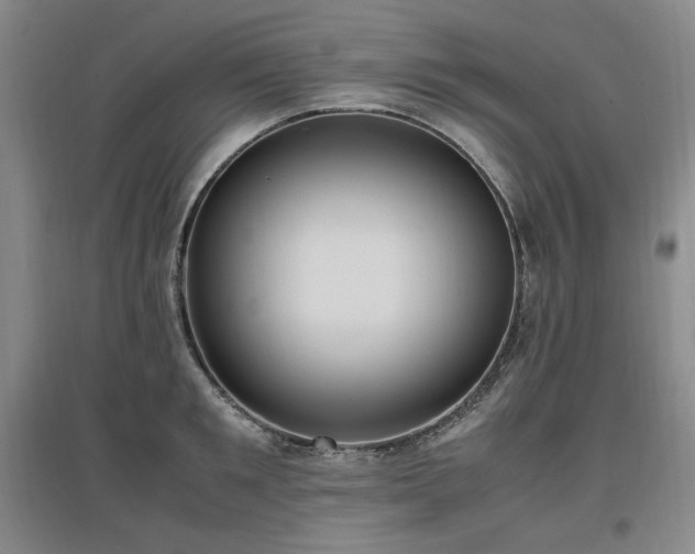 X0000097460901200802221211