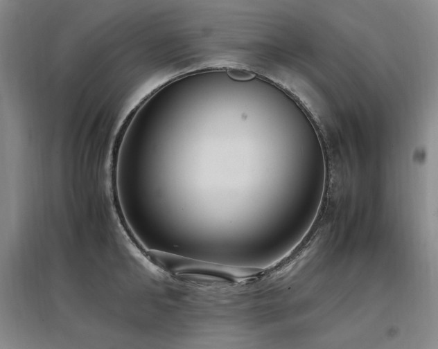 X0000097460902200802221211