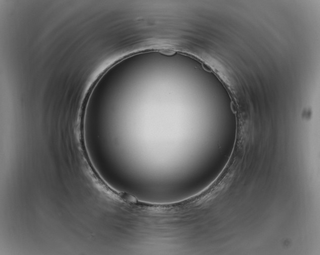 X0000097460904200802221211