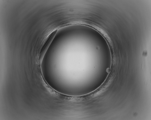 X0000097460905200802221211