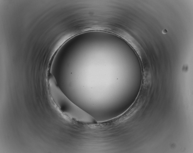 X0000097460906200802221210