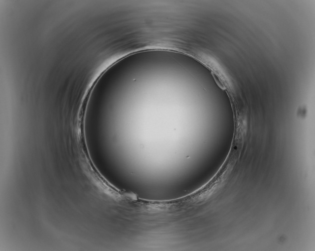 X0000097460908200802221210