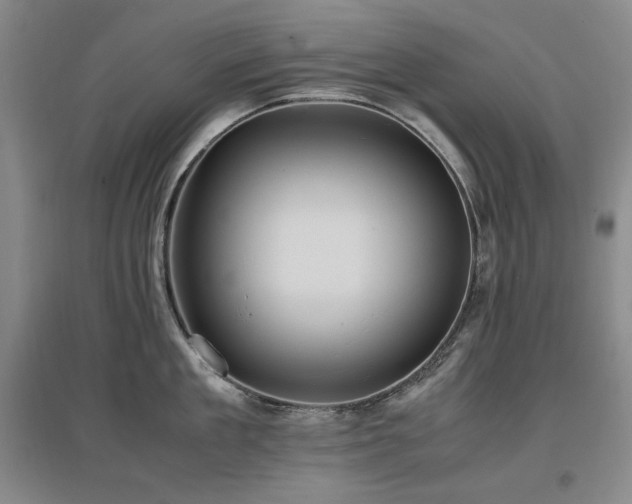 X0000097460909200802221210