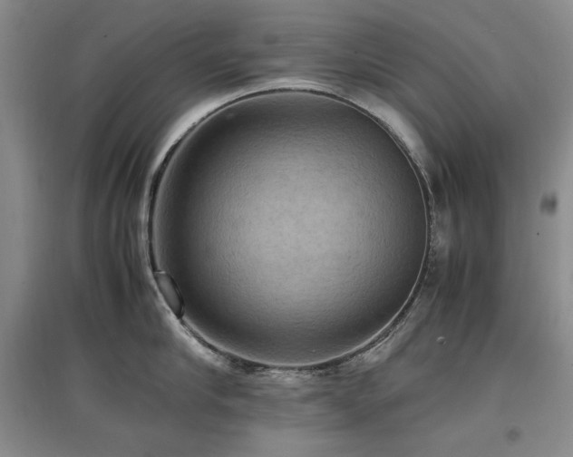 X0000097460910200802221210