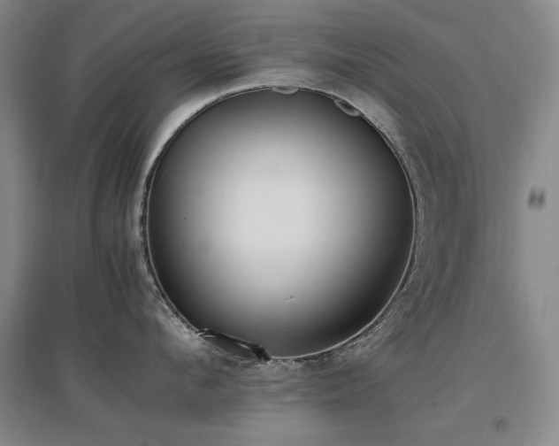 X0000097460912200802221210