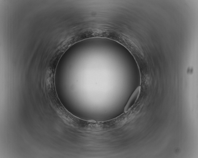 X0000097460914200802221209
