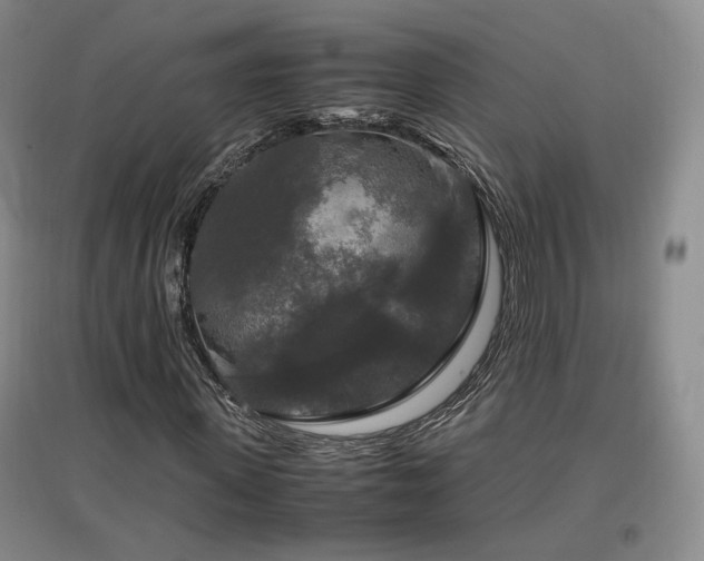 X0000097460915200802221210