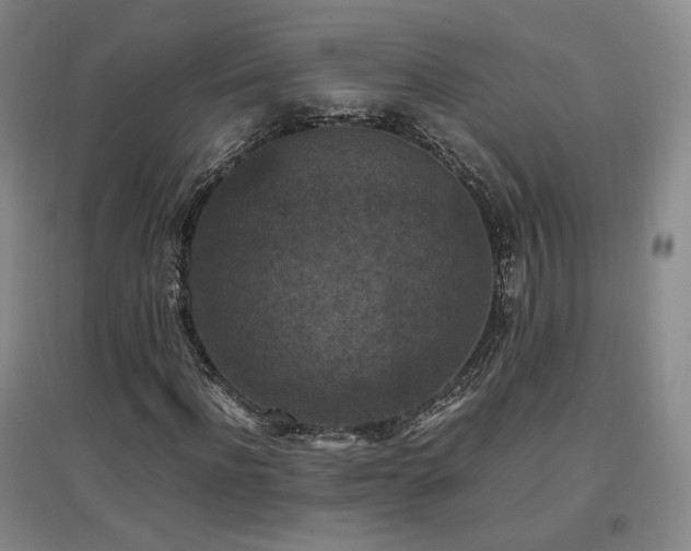 X0000097460916200802221210