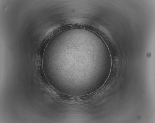 X0000097460918200802221210