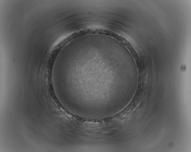 X0000097460919200802221210