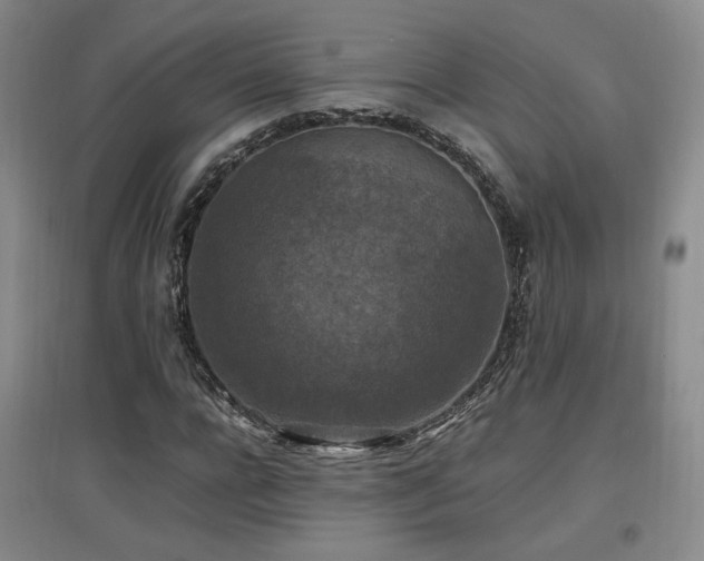 X0000097460920200802221210