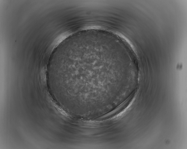 X0000097460921200802221210