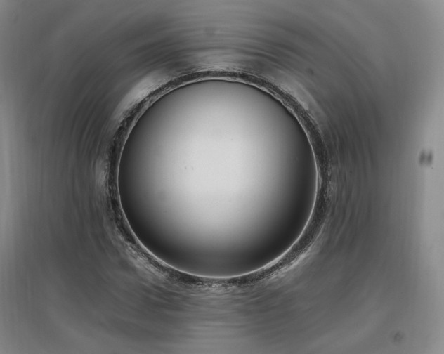 X0000097460922200802221210