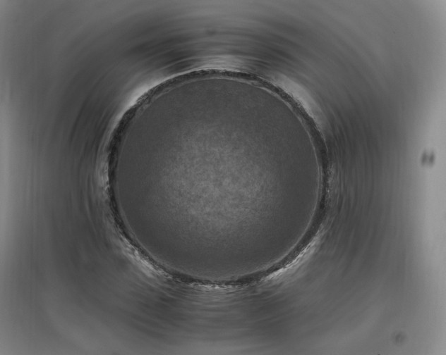 X0000097460923200802221210