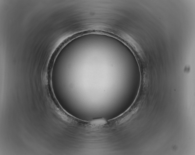 X0000097460924200802221210